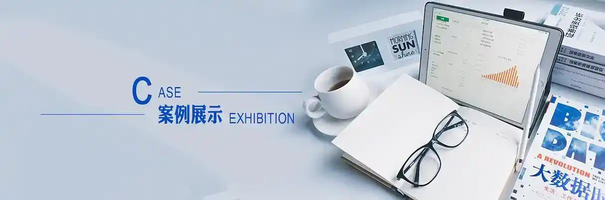 邯山区软件开发